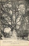 CPA Fontaine pres Belfort Trilleul de Turenne  la marchal allant combattre en Alsace hiver 1674 s'es