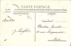 CPA Chaumes Sne et Mne chateau d'Arcy vue du parc 