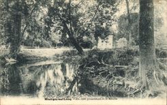 CPA Montigny sur loing un coin pittoresque et le Moulin 