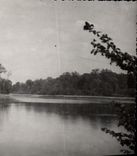 CPA Chaumes en Brie S et M Etang du Vivier 