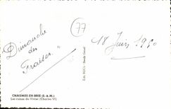 CPA Chaumes en Brie S et M Les ruines du Vivier IV