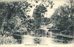 CPA Montigny sur Loing Un coin du Loing 