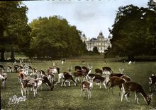 CPSM Gretz Armanvilliers (S et M) Ses Environs Chateau de Ferrieres en Brie Le Parc les Axis