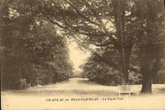 CPA Chateau du Bois Corbeau Le Tapis Vert