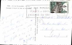CPA Ile de Noirmoutier (Vendee) Paysage a travers le bois de a Chaize