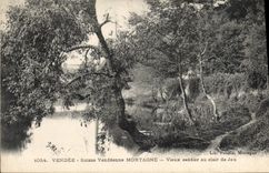 CPA Vendee Suisse Vendeenne Mortagne Vieux sentier au clair de Jau