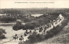 CPA Les Sables d'Olonne Promenade à Anes dans la Foret de la Rudeliere