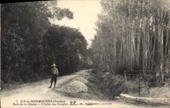 CPA Ile de Noirmoutier (Vendee) Bois de la Chaise