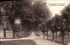 CPA St Leonard (Haute Vienne) Boulevard de la Promenade