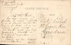 CPA Limoges La Vienne et le Pont St Martial
