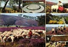 CPSM Limousin touristique Les Monedieres