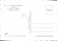 CPSM Scenes Vosgiennes 