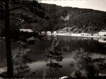 CPSM Les Hauntes Vosges Le Lac Noir 