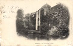 CPA Bleneau Le Donjon du Chateau 