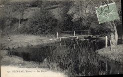 CPA Bleneau Yonne Les Bazins 
