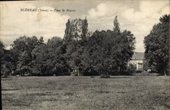 CPA Bleneau Yonne Dans la Prairie 