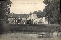 CPA Le Chateau de Bleneau Yonne 