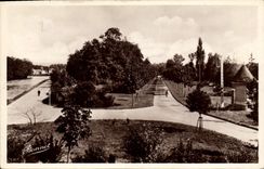 CPA Auxerre Promenade de I'Arbre Sec  