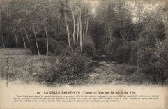 CPA La Celle Saint Cyr Yonne Vue sur les bords du Vrin 