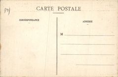 CPA Druyes les Belles Fontains Yonne Le Vieux Chateau feodal 