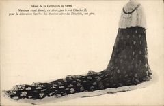 CPA Treser de la Cathedrale de Sens 