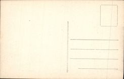 CPA Druyes Yonne Le Chateau vu de la Cave aux Fees 