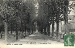 CPA Joigny Promenade du Midi 