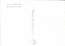 CPSM France Touristique Bon Souvenir de l'Yonne 