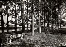 CPSM Moneteau Yonne Les Bords de l'Yonne le Terrain de Camping 