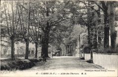CPA Cambo Basses Pyrenees Allee des Thermes 