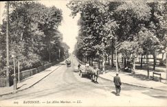 CPA Bayonne Les Allees Marines 
