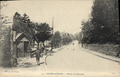 CPA Salies de Bearn Route de Bayonne 