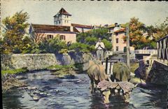 CPA Espelette Basses Pyrenees Attelage Basque 