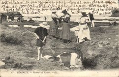 CPA Biarritz Pecheaurs de Crabes 
