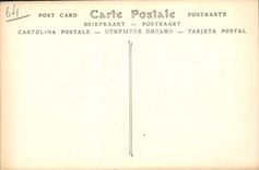 CPA Cambo Arnaga Maison d'Edmond Rostand Les Lys