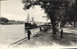 CPA Bayonne Les Allees Marines 