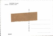 CPSM GRUISSAN cimetière marin