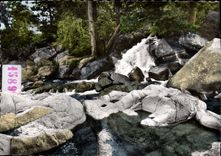 CPSM DOURBIES rivière