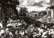 CPSM musée des beaux arts de Nimes atelier de Jacopo Bassano l'annonce aux bergers