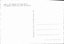 CPM St Michel De Cuxa