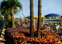 CPM Cannes La Croisette