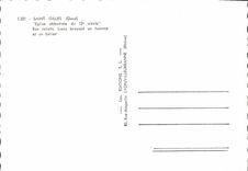 CPM Saint Gilles Eglise Abbatiale Lion