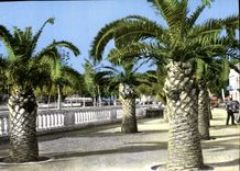 CPM Perpignan Le Palmarium