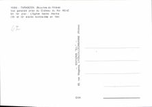 CPM Tarascon Vue Generale Prise Du Chateau Du Roi Rene