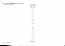CPM Sauveterre De Bearn Vue Generale Aerienne
