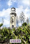 CPM Sete Le Phare Principal