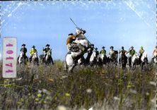 CPM En Camargue Gardians