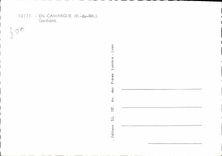 CPM En Camargue Gardians