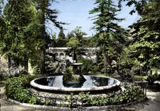 CPM Montpellier Jardin D'Acclimatation