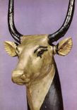 CPM Toutankhamon Tête de vache sacrée